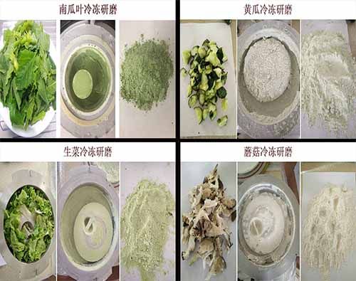 Ruishenbao liquid nitrogen freezing mill grind plant solution - fresh leaves and fruit